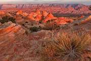 Morning at Little Cut, Page, Arizona